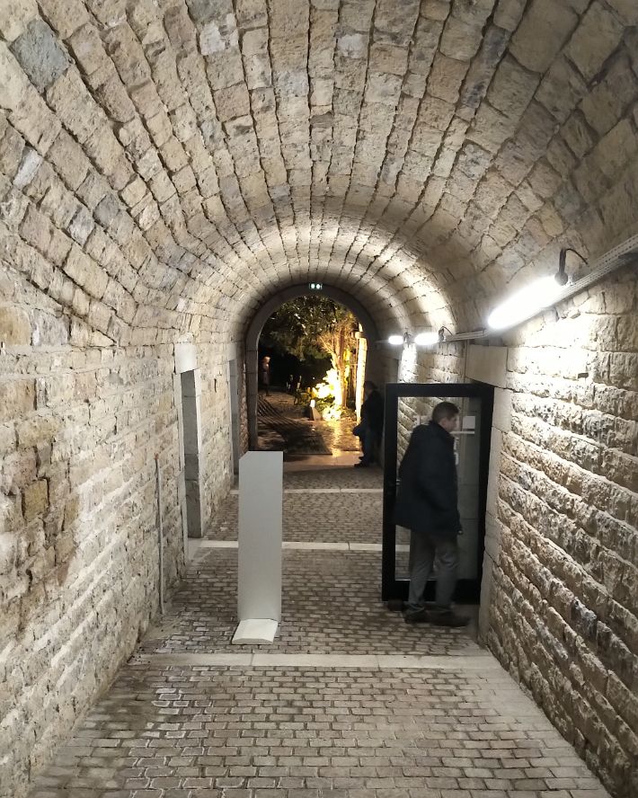 fort de vaise-tonygarnier